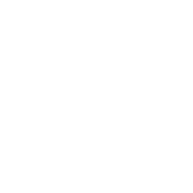 Mindful Focused Therapy Logo