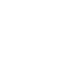 Mindful Focused Therapy Logo